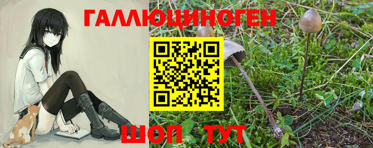 Псилоцибиновые грибы Magic Shrooms Лабытнанги